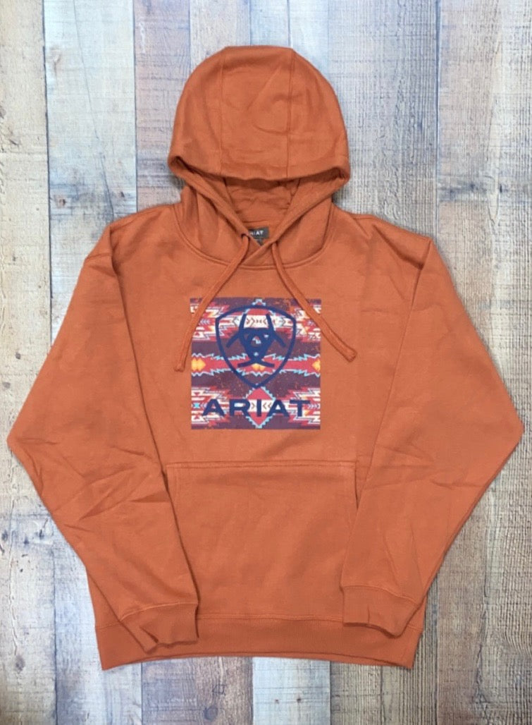 Southwestern discount champion hoodie