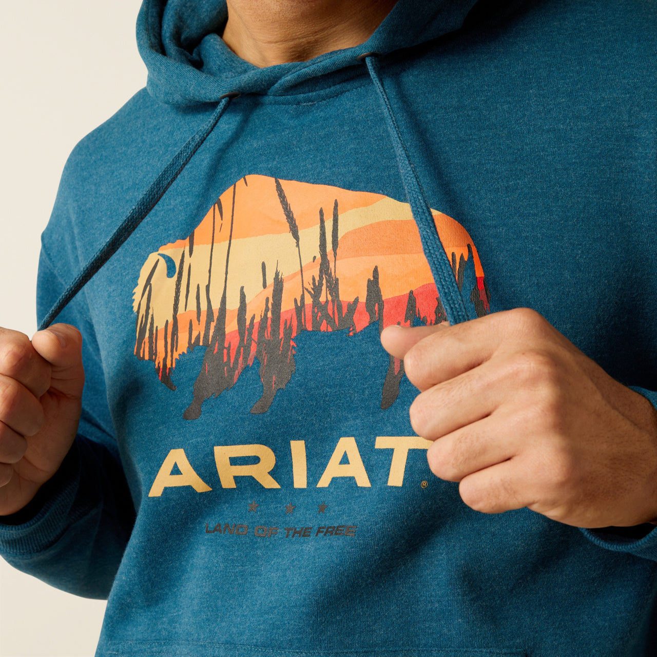 Ariat Men's Bison Plains Hoodie