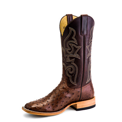 Kango Tocbac Ostrich