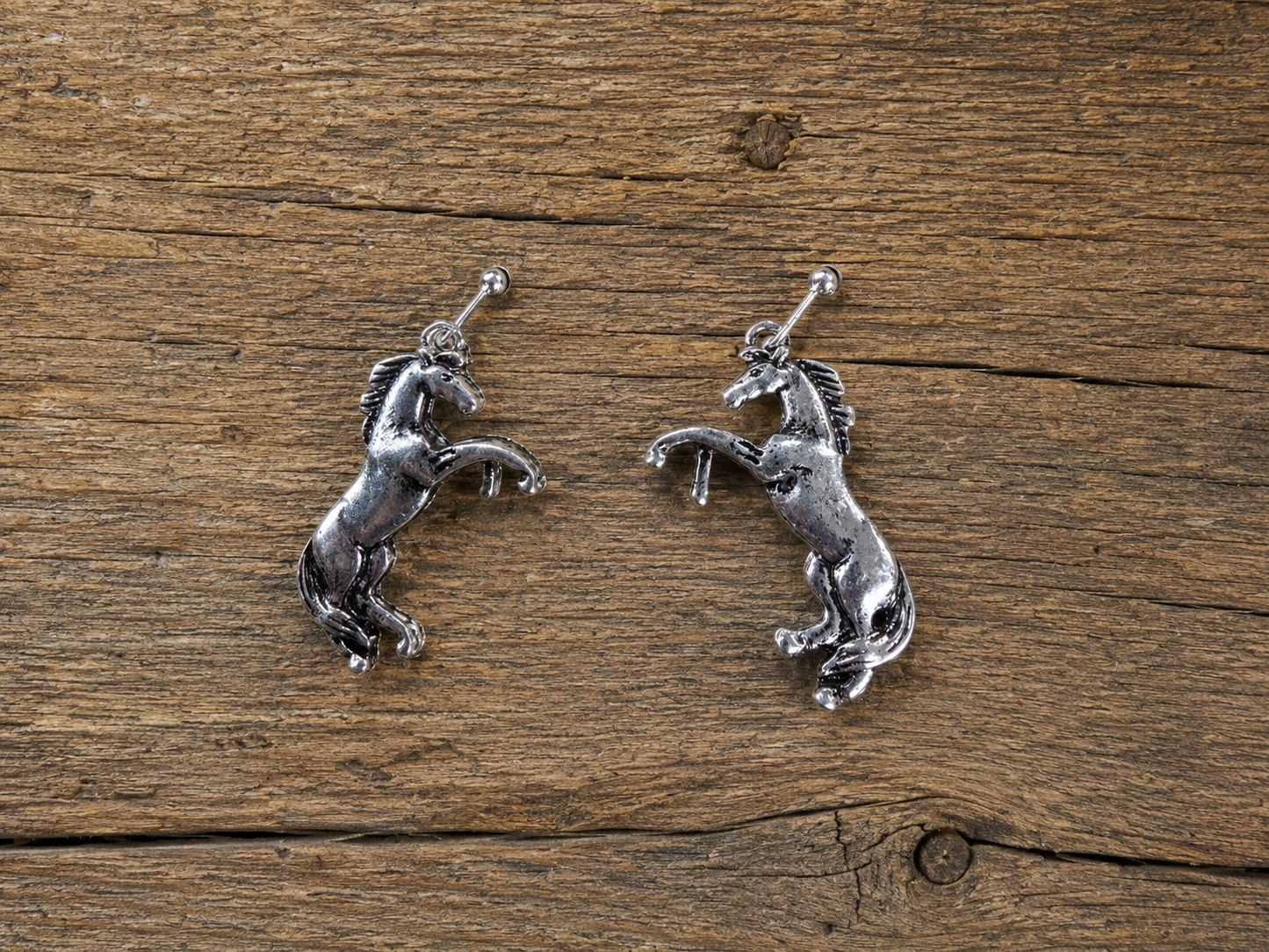 Charm Necklace and Earring Set